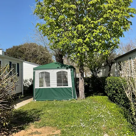 Mobilhome Ile D Oleron Les Tamaris